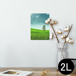 |X^[ EH[XebJ[ V[XebJ[  127×178mm 2L ʐ^ tHg  CeA  @ wall sticker poster 002526 iF@i@ʐ^