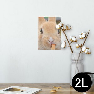 |X^[ EH[XebJ[ V[XebJ[  127×178mm 2L ʐ^ tHg  CeA  @ wall sticker poster 002807 @@ʐ^