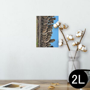 |X^[ EH[XebJ[ V[XebJ[  127×178mm 2L ʐ^ tHg  CeA  @ wall sticker poster 003284 O@ʐ^@iF@i