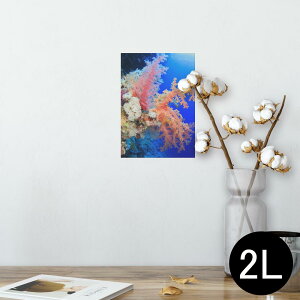 |X^[ EH[XebJ[ V[XebJ[  127×178mm 2L ʐ^ tHg  CeA  @ wall sticker poster 003341 C@ʐ^@iF@i
