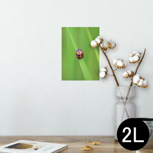 |X^[ EH[XebJ[ V[XebJ[  127×178mm 2L ʐ^ tHg  CeA  @ wall sticker poster 003604 ĂƂ@ʐ^