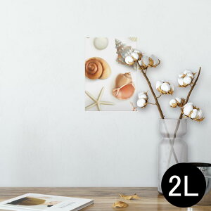 |X^[ EH[XebJ[ V[XebJ[  127×178mm 2L ʐ^ tHg  CeA  @ wall sticker poster 009662 Lk@C@l