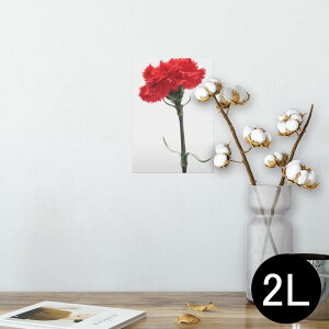 |X^[ EH[XebJ[ V[XebJ[  127×178mm 2L ʐ^ tHg  CeA  @ wall sticker poster 012928 ̓@J[l[V@