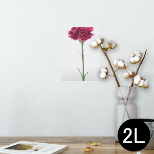 |X^[ EH[XebJ[ V[XebJ[  127×178mm 2L ʐ^ tHg  CeA  @ wall sticker poster 012933 ̓@J[l[V@