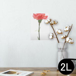 |X^[ EH[XebJ[ V[XebJ[  127×178mm 2L ʐ^ tHg  CeA  @ wall sticker poster 012935 ̓@J[l[V@