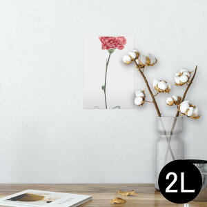 |X^[ EH[XebJ[ V[XebJ[  127×178mm 2L ʐ^ tHg  CeA  @ wall sticker poster 012937 ̓@J[l[V@
