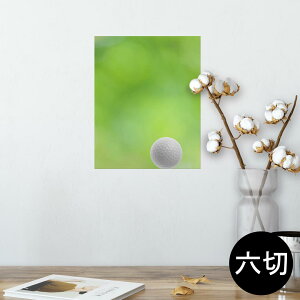 |X^[ EH[XebJ[ V[XebJ[  203×254 Z؂ ʐ^ tHg  CeA  @ wall sticker poster 000218 St@Vbg@Ő