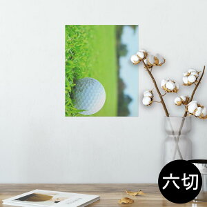 |X^[ EH[XebJ[ V[XebJ[  203×254 Z؂ ʐ^ tHg  CeA  @ wall sticker poster 000255 St@Ő@X|[c