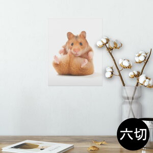 |X^[ EH[XebJ[ V[XebJ[  203×254 Z؂ ʐ^ tHg  CeA  @ wall sticker poster 001075 nX^[@