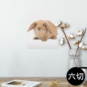 |X^[ EH[XebJ[ V[XebJ[  203×254 Z؂ ʐ^ tHg  CeA  @ wall sticker poster 001112 @