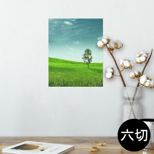 |X^[ EH[XebJ[ V[XebJ[  203×254 Z؂ ʐ^ tHg  CeA  @ wall sticker poster 002526 iF@i@ʐ^