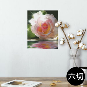 |X^[ EH[XebJ[ V[XebJ[  203×254 Z؂ ʐ^ tHg  CeA  @ wall sticker poster 002746 ԁ@ʐ^@