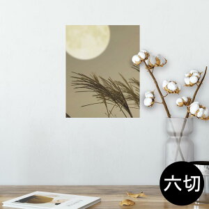 |X^[ EH[XebJ[ V[XebJ[  203×254 Z؂ ʐ^ tHg  CeA  @ wall sticker poster 003164 ʐ^@iF@i