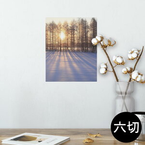 |X^[ EH[XebJ[ V[XebJ[  203×254 Z؂ ʐ^ tHg  CeA  @ wall sticker poster 003272 ʐ^@iF@i