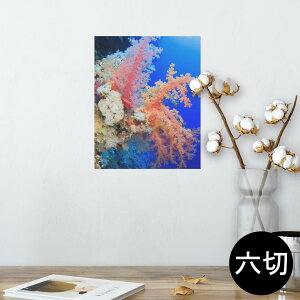 |X^[ EH[XebJ[ V[XebJ[  203×254 Z؂ ʐ^ tHg  CeA  @ wall sticker poster 003341 C@ʐ^@iF@i