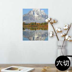 |X^[ EH[XebJ[ V[XebJ[  203×254 Z؂ ʐ^ tHg  CeA  @ wall sticker poster 008162 ʐ^@i@R@΁@