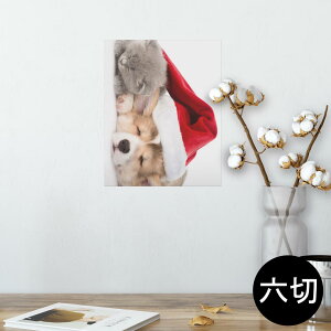|X^[ EH[XebJ[ V[XebJ[  203×254 Z؂ ʐ^ tHg  CeA  @ wall sticker poster 008645 @L@Xq@ʐ^