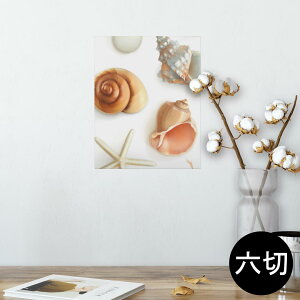|X^[ EH[XebJ[ V[XebJ[  203×254 Z؂ ʐ^ tHg  CeA  @ wall sticker poster 009662 Lk@C@l