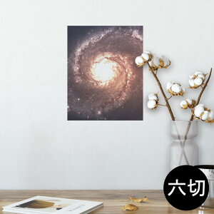 |X^[ EH[XebJ[ V[XebJ[  203×254 Z؂ ʐ^ tHg  CeA  @ wall sticker poster 010185 @F@i