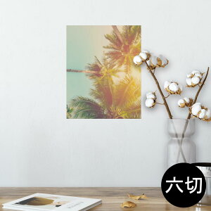 |X^[ EH[XebJ[ V[XebJ[  203×254 Z؂ ʐ^ tHg  CeA  @ wall sticker poster 010529 V̖؁@i