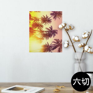 |X^[ EH[XebJ[ V[XebJ[  203×254 Z؂ ʐ^ tHg  CeA  @ wall sticker poster 011302 ā@V̖؁@[