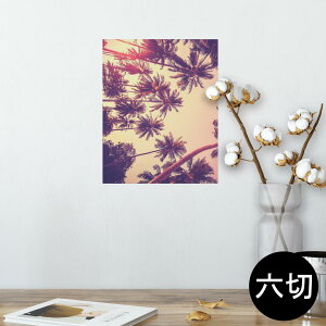 |X^[ EH[XebJ[ V[XebJ[  203×254 Z؂ ʐ^ tHg  CeA  @ wall sticker poster 011308 ā@V̖؁@[
