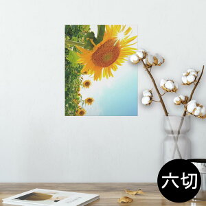 |X^[ EH[XebJ[ V[XebJ[  203×254 Z؂ ʐ^ tHg  CeA  @ wall sticker poster 011440 ԁ@Ђ܂@ʐ^