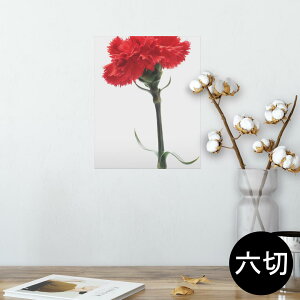|X^[ EH[XebJ[ V[XebJ[  203×254 Z؂ ʐ^ tHg  CeA  @ wall sticker poster 012928 ̓@J[l[V@
