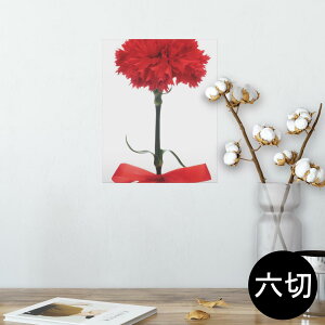 |X^[ EH[XebJ[ V[XebJ[  203×254 Z؂ ʐ^ tHg  CeA  @ wall sticker poster 012929 ̓@J[l[V@