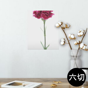 |X^[ EH[XebJ[ V[XebJ[  203×254 Z؂ ʐ^ tHg  CeA  @ wall sticker poster 012933 ̓@J[l[V@