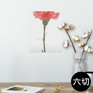 |X^[ EH[XebJ[ V[XebJ[  203×254 Z؂ ʐ^ tHg  CeA  @ wall sticker poster 012935 ̓@J[l[V@