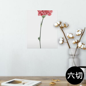 |X^[ EH[XebJ[ V[XebJ[  203×254 Z؂ ʐ^ tHg  CeA  @ wall sticker poster 012937 ̓@J[l[V@