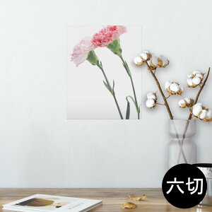 |X^[ EH[XebJ[ V[XebJ[  203×254 Z؂ ʐ^ tHg  CeA  @ wall sticker poster 012938 ̓@J[l[V@