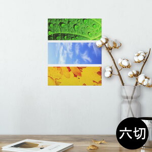 |X^[ EH[XebJ[ V[XebJ[  203×254 Z؂ ʐ^ tHg  CeA  @ wall sticker poster 014084 ā@Ђ܂@