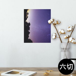 |X^[ EH[XebJ[ V[XebJ[  203×254 Z؂ ʐ^ tHg  CeA  @ wall sticker poster 014964 i@R@wi@
