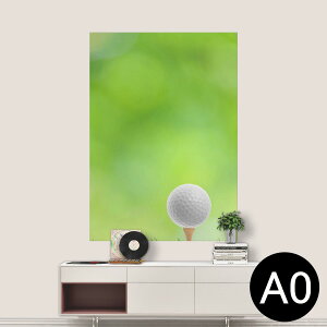 |XebJ[ |X^[ EH[XebJ[ V[XebJ[  841mm×1189mm A0 ʐ^ tHg  CeA   wall sticker poster 000218 St@Vbg@Ő