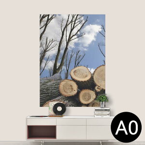 |XebJ[ |X^[ EH[XebJ[ V[XebJ[  841mm×1189mm A0 ʐ^ tHg  CeA   wall sticker poster 002647 iF@i@ʐ^