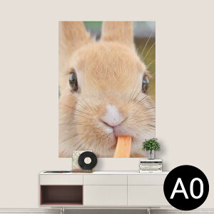 |XebJ[ |X^[ EH[XebJ[ V[XebJ[  841mm×1189mm A0 ʐ^ tHg  CeA   wall sticker poster 002807 @@ʐ^