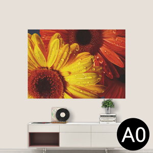 |XebJ[ |X^[ EH[XebJ[ V[XebJ[  841mm×1189mm A0 ʐ^ tHg  CeA   wall sticker poster 023300 ԁ@t[@Ђ܂