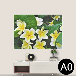 |XebJ[ |X^[ EH[XebJ[ V[XebJ[  841mm×1189mm A0 ʐ^ tHg  CeA   wall sticker poster 023320 ԁ@t[@vA