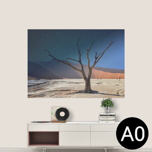 ポステッカー ポスター ウォールステッカー シール式ステッカー 飾り 841mm×1189mm A0 写真 フォト 壁 インテリア おしゃれ 剥がせる wall sticker poster 023599 景色 山 木