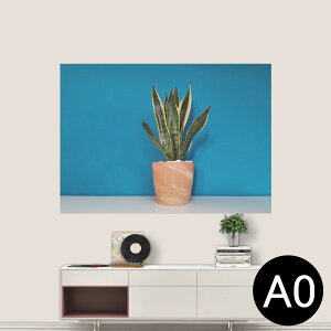 |XebJ[ |X^[ EH[XebJ[ V[XebJ[  841mm×1189mm A0 ʐ^ tHg  CeA   wall sticker poster 023685 A@A