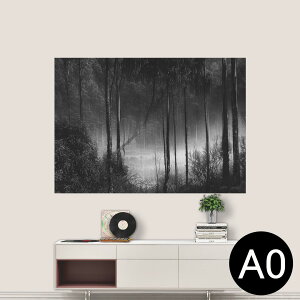|XebJ[ |X^[ EH[XebJ[ V[XebJ[  841mm×1189mm A0 ʐ^ tHg  CeA   wall sticker poster 025587 Xс@mN@