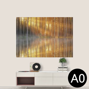|XebJ[ |X^[ EH[XebJ[ V[XebJ[  841mm×1189mm A0 ʐ^ tHg  CeA   wall sticker poster 025679 Xс@R@