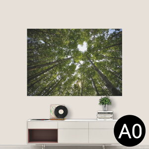 |XebJ[ |X^[ EH[XebJ[ V[XebJ[  841mm×1189mm A0 ʐ^ tHg  CeA   wall sticker poster 025739 R@Xс@؁@n[g