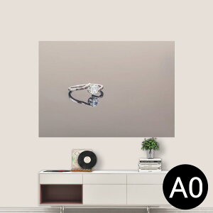 |XebJ[ |X^[ EH[XebJ[ V[XebJ[  841mm×1189mm A0 ʐ^ tHg  CeA   wall sticker poster 025750 wց@WG[@t@bV