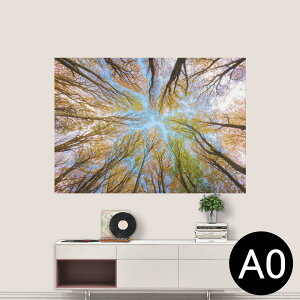 |XebJ[ |X^[ EH[XebJ[ V[XebJ[  841mm×1189mm A0 ʐ^ tHg  CeA   wall sticker poster 025927 Xс@؁@R