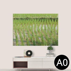 |XebJ[ |X^[ EH[XebJ[ V[XebJ[  841mm×1189mm A0 ʐ^ tHg  CeA   wall sticker poster 026003 cځ@cA@@i