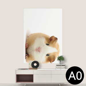 |XebJ[ |X^[ EH[XebJ[ V[XebJ[  841mm×1189mm A0 ʐ^ tHg  CeA   wall sticker poster 006036 Aj} ʐ^@@nX^[