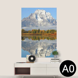 |XebJ[ |X^[ EH[XebJ[ V[XebJ[  841mm×1189mm A0 ʐ^ tHg  CeA   wall sticker poster 008162 ʐ^@i@R@΁@